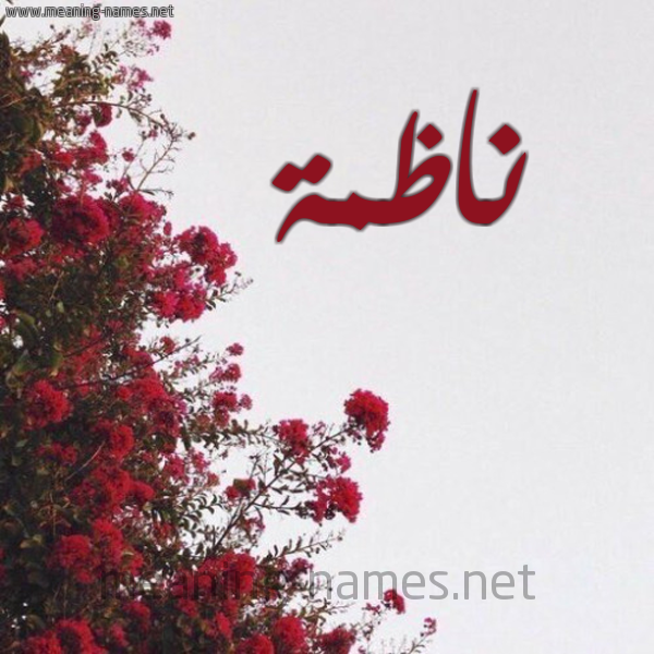شكل 18 صوره الورد الأحمر للإسم بخط رقعة صورة اسم ناظمة NAZMH