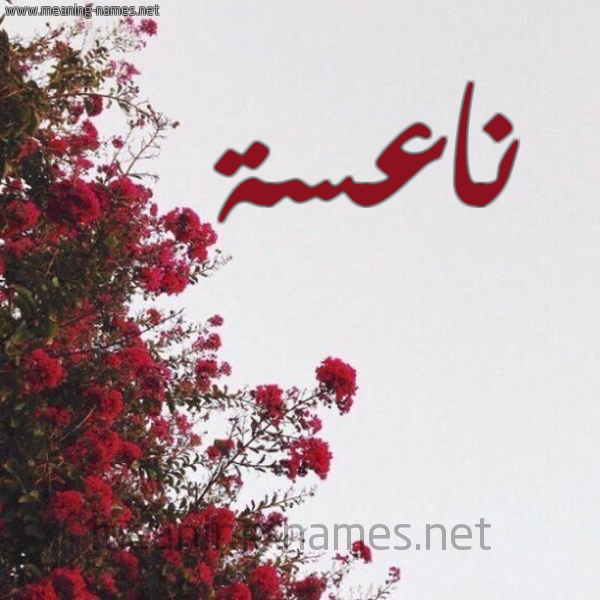 شكل 18 صوره الورد الأحمر للإسم بخط رقعة صورة اسم ناعسة NAASH