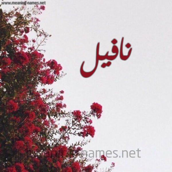 شكل 18 صوره الورد الأحمر للإسم بخط رقعة صورة اسم نافيل Nafel