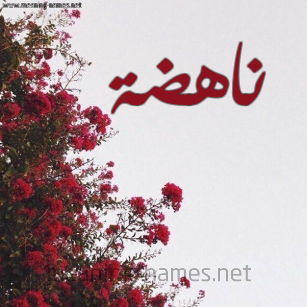 شكل 18 صوره الورد الأحمر للإسم بخط رقعة صورة اسم ناهضة Nahd'h