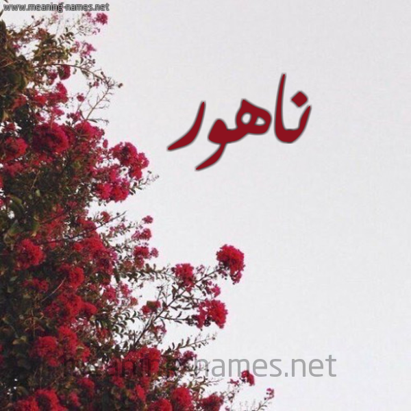 شكل 18 صوره الورد الأحمر للإسم بخط رقعة صورة اسم ناهور Nahwr