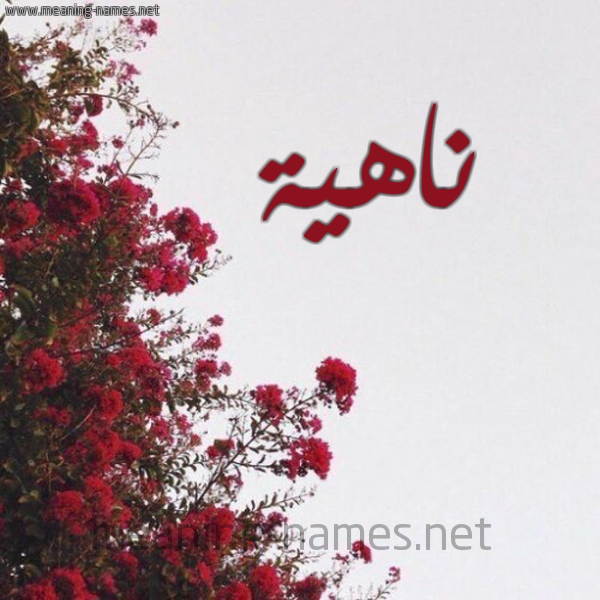 شكل 18 صوره الورد الأحمر للإسم بخط رقعة صورة اسم ناهية NAHIH