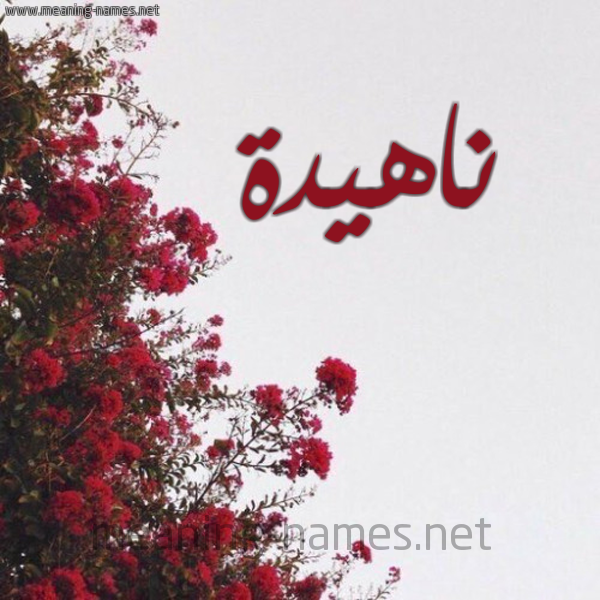 شكل 18 صوره الورد الأحمر للإسم بخط رقعة صورة اسم ناهيدة Nahida