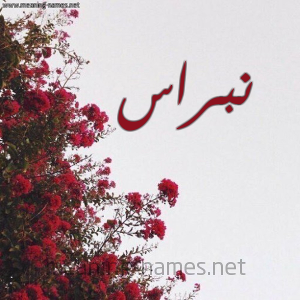 شكل 18 صوره الورد الأحمر للإسم بخط رقعة صورة اسم نبراس Nbras