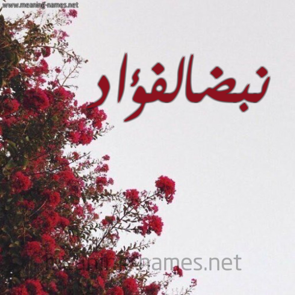 شكل 18 صوره الورد الأحمر للإسم بخط رقعة صورة اسم نبضالفؤاد Nbdalfu'ad