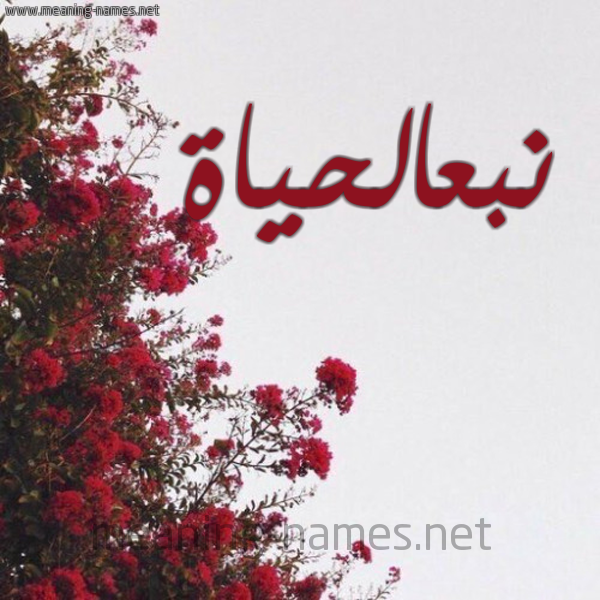 شكل 18 صوره الورد الأحمر للإسم بخط رقعة صورة اسم نبعالحياة Nb'alhyah