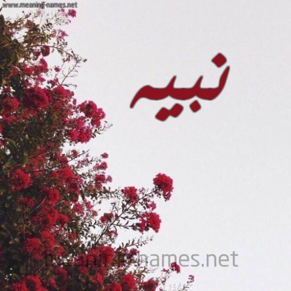 شكل 18 صوره الورد الأحمر للإسم بخط رقعة صورة اسم نبيه Nbyh.