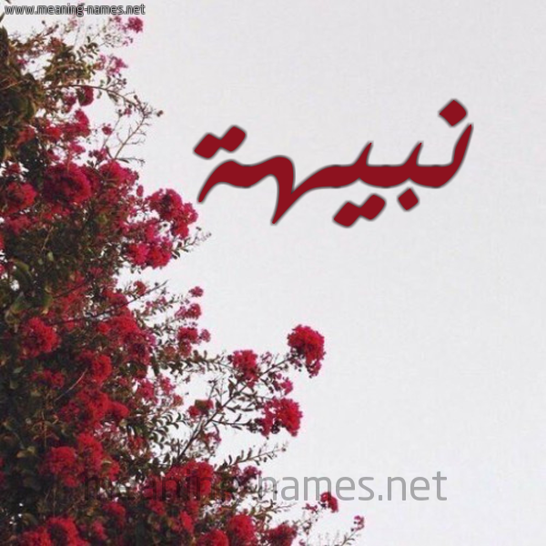 شكل 18 صوره الورد الأحمر للإسم بخط رقعة صورة اسم نبيهة Nbyha