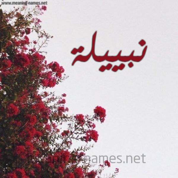 شكل 18 صوره الورد الأحمر للإسم بخط رقعة صورة اسم نبييلة Nabila