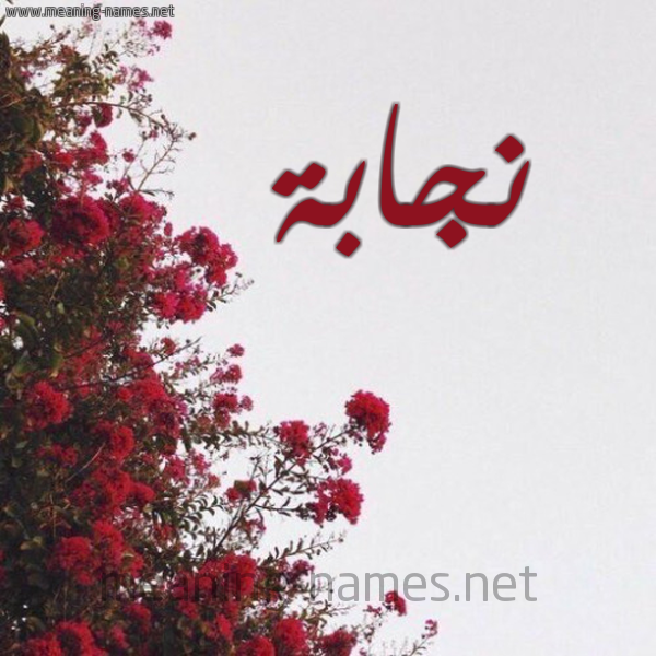 شكل 18 صوره الورد الأحمر للإسم بخط رقعة صورة اسم نجابة Njabh