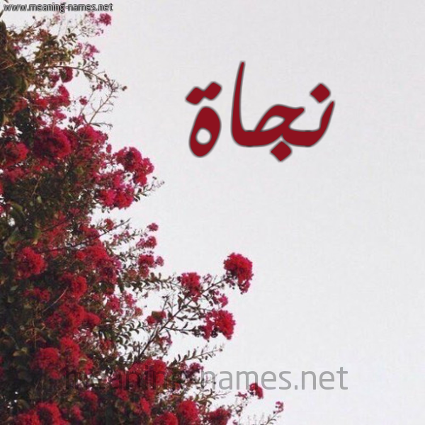 شكل 18 صوره الورد الأحمر للإسم بخط رقعة صورة اسم نجاة Njah