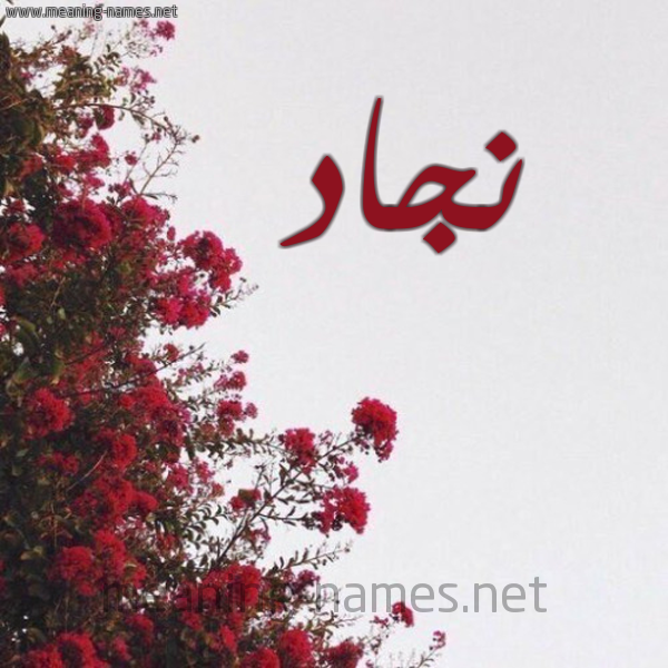 شكل 18 صوره الورد الأحمر للإسم بخط رقعة صورة اسم نجاد Njad