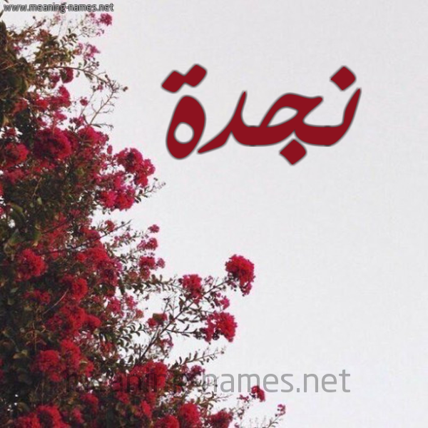 شكل 18 صوره الورد الأحمر للإسم بخط رقعة صورة اسم نجدة NGDH