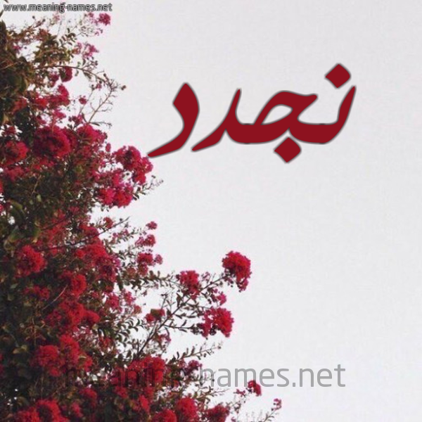 شكل 18 صوره الورد الأحمر للإسم بخط رقعة صورة اسم نجدد Najd
