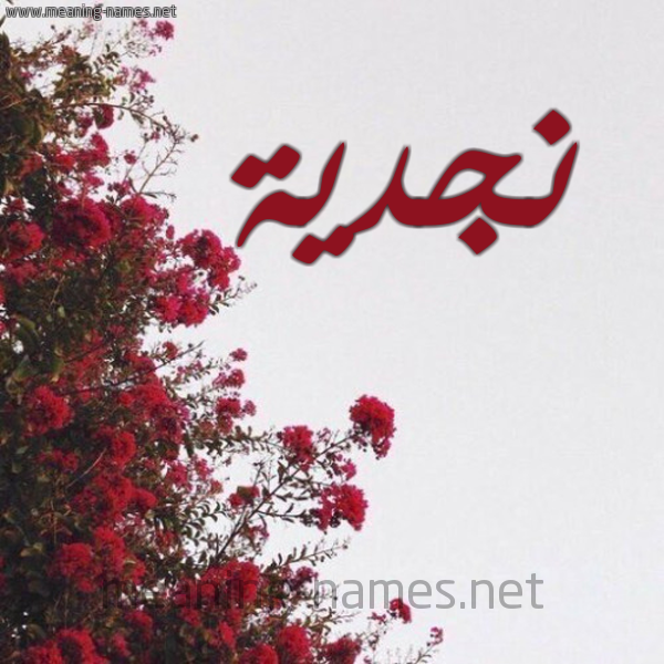 شكل 18 صوره الورد الأحمر للإسم بخط رقعة صورة اسم نجدية Njdyh