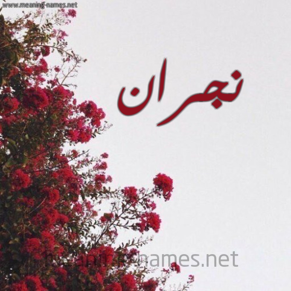 شكل 18 صوره الورد الأحمر للإسم بخط رقعة صورة اسم نجران nigran
