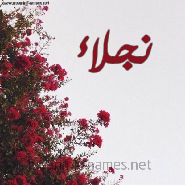 شكل 18 صوره الورد الأحمر للإسم بخط رقعة صورة اسم نجلاء Naglaa