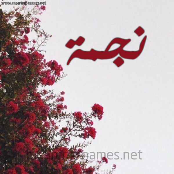 شكل 18 صوره الورد الأحمر للإسم بخط رقعة صورة اسم نجمة Njma.