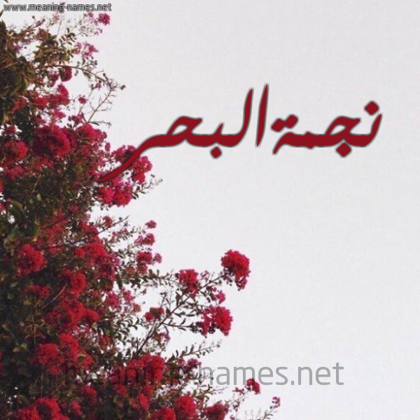 شكل 18 صوره الورد الأحمر للإسم بخط رقعة صورة اسم نجمةالبحر Njmhalbhr