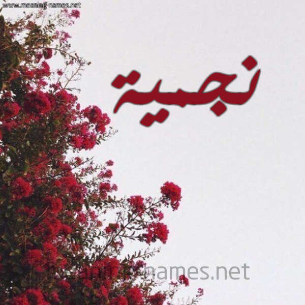شكل 18 صوره الورد الأحمر للإسم بخط رقعة صورة اسم نجمية Njmyh