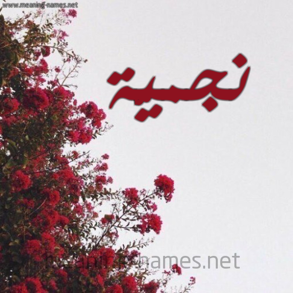شكل 18 صوره الورد الأحمر للإسم بخط رقعة صورة اسم نجميَّة NGMIAH