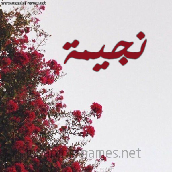 شكل 18 صوره الورد الأحمر للإسم بخط رقعة صورة اسم نجيمة NAJIMA