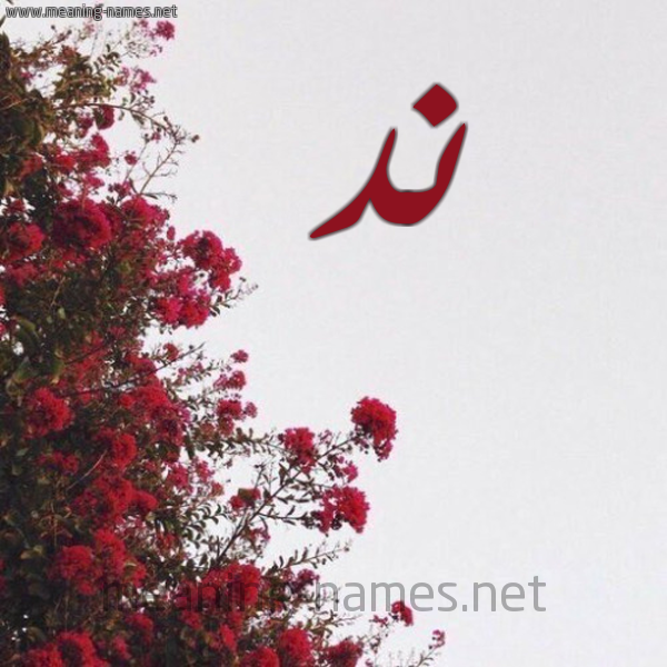 شكل 18 صوره الورد الأحمر للإسم بخط رقعة صورة اسم ند ND