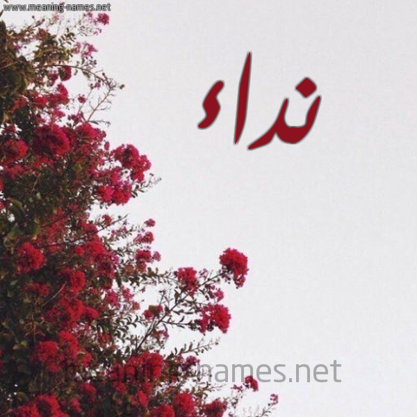شكل 18 صوره الورد الأحمر للإسم بخط رقعة صورة اسم نداء Nedaa