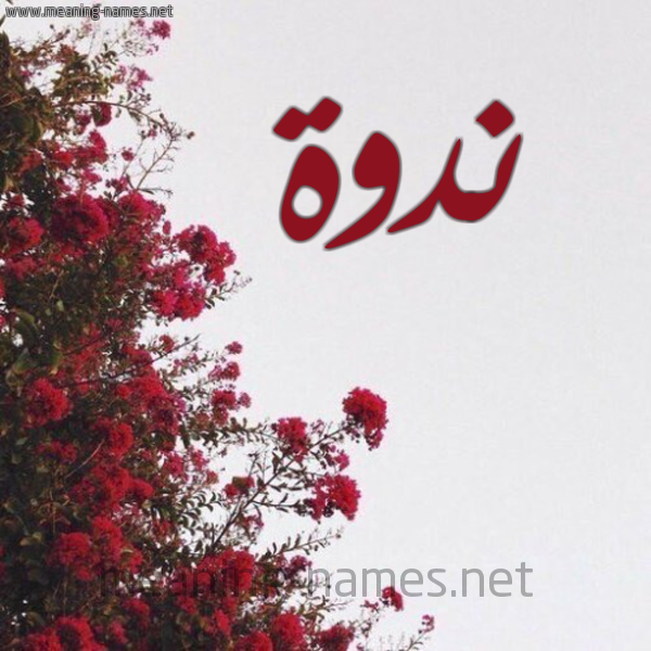 شكل 18 صوره الورد الأحمر للإسم بخط رقعة صورة اسم ندوة NDOH