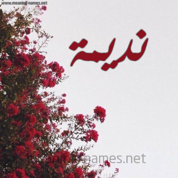 شكل 18 صوره الورد الأحمر للإسم بخط رقعة صورة اسم نديمة Ndymh