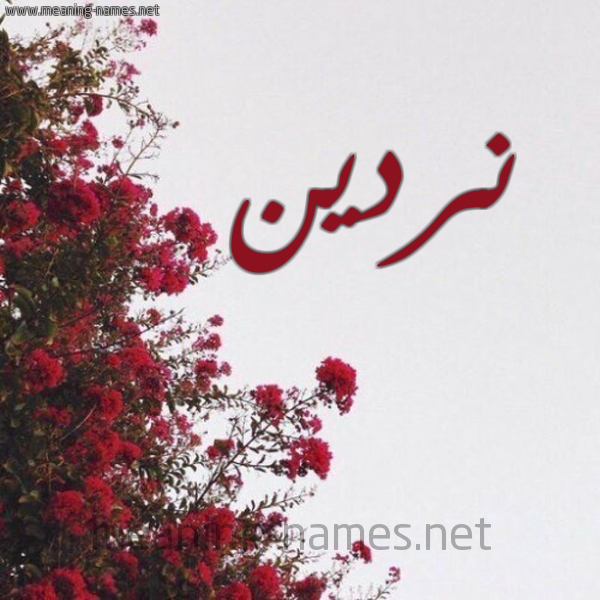 شكل 18 صوره الورد الأحمر للإسم بخط رقعة صورة اسم نردين Nrdyn