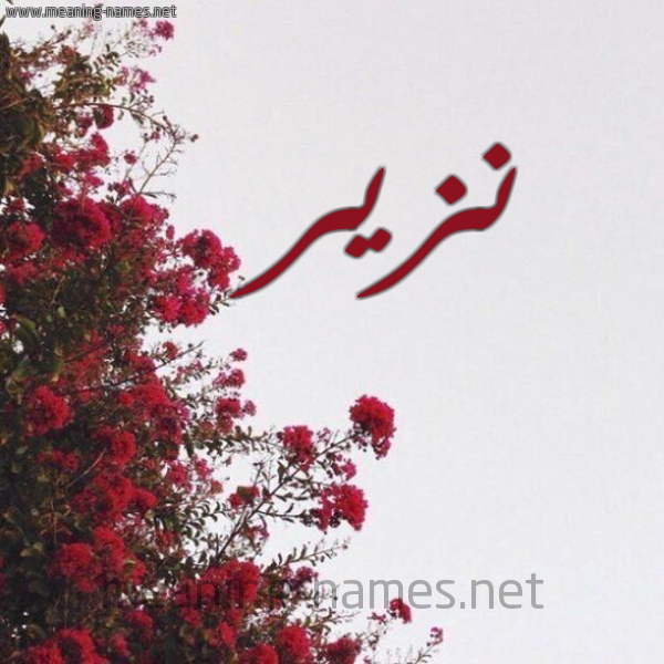 شكل 18 صوره الورد الأحمر للإسم بخط رقعة صورة اسم نزير Nzir