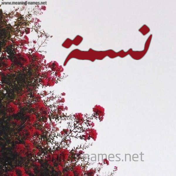 شكل 18 صوره الورد الأحمر للإسم بخط رقعة صورة اسم نسمة Nesma