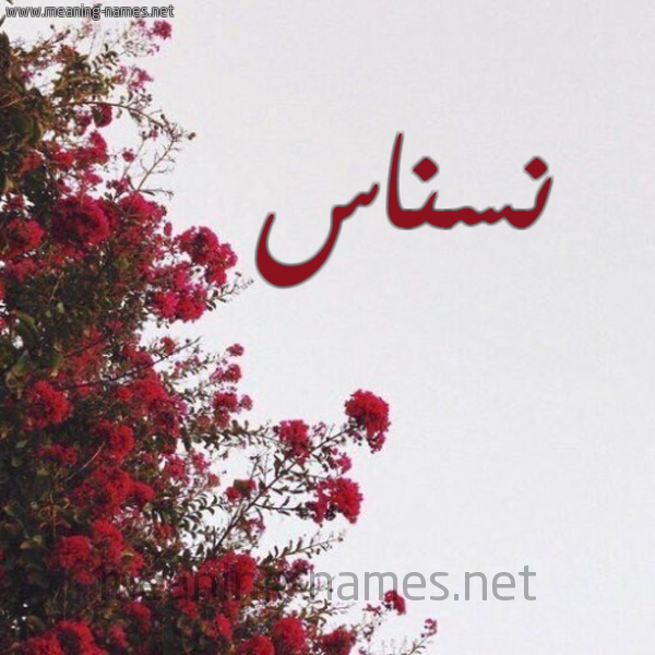 شكل 18 صوره الورد الأحمر للإسم بخط رقعة صورة اسم نسناس Nsnas