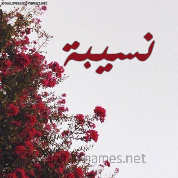 شكل 18 صوره الورد الأحمر للإسم بخط رقعة صورة اسم نسيبة Nosyba