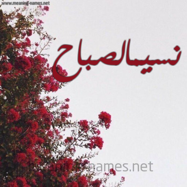 شكل 18 صوره الورد الأحمر للإسم بخط رقعة صورة اسم نسيمالصباح Nsymalsbah