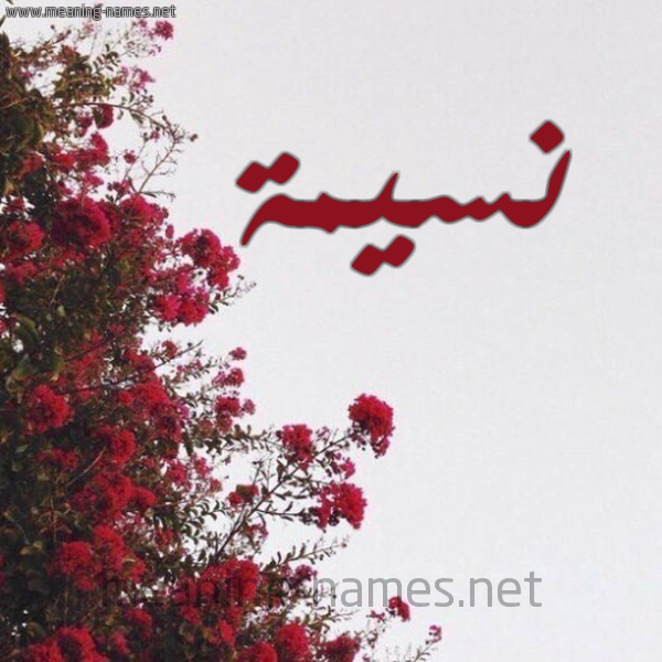 شكل 18 صوره الورد الأحمر للإسم بخط رقعة صورة اسم نسيمة Naseema