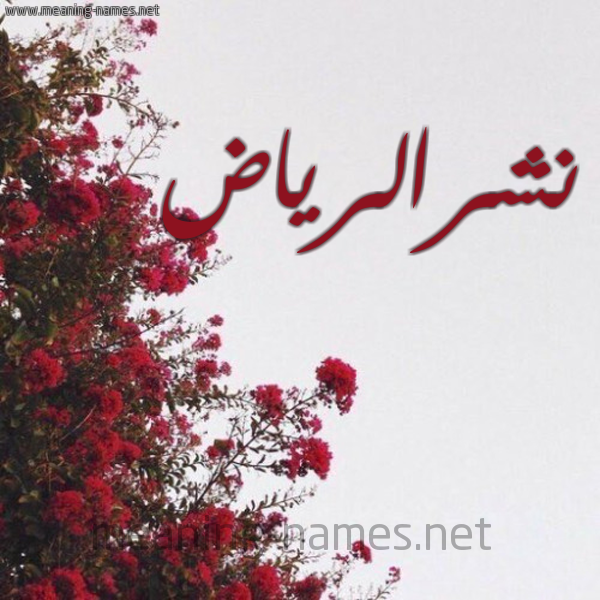 شكل 18 صوره الورد الأحمر للإسم بخط رقعة صورة اسم نشرالرياض Nshralryad