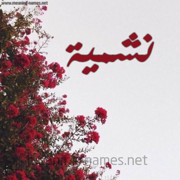 شكل 18 صوره الورد الأحمر للإسم بخط رقعة صورة اسم نشمية Nshima