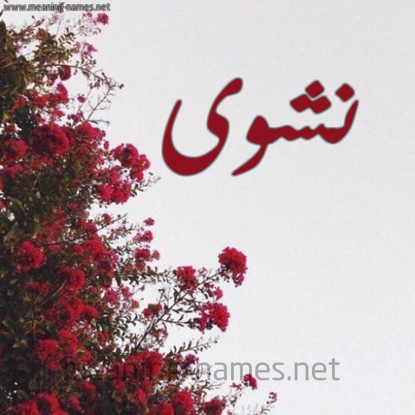 شكل 18 صوره الورد الأحمر للإسم بخط رقعة صورة اسم نشوى Nashwa