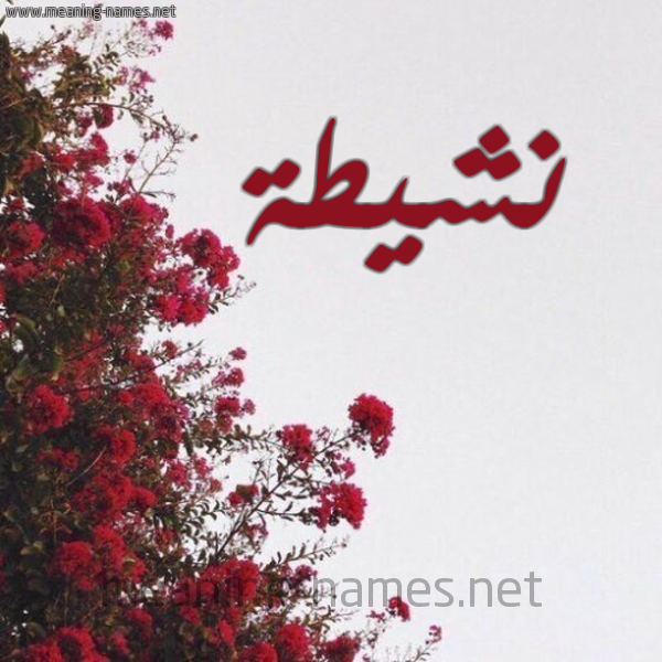 شكل 18 صوره الورد الأحمر للإسم بخط رقعة صورة اسم نشيطة Nshyth