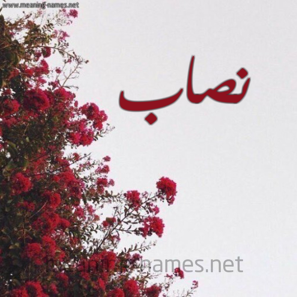 شكل 18 صوره الورد الأحمر للإسم بخط رقعة صورة اسم نصاب Nsab