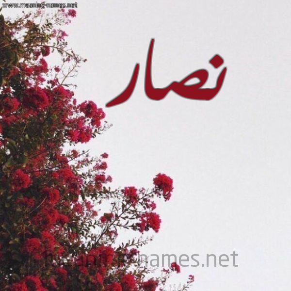 شكل 18 صوره الورد الأحمر للإسم بخط رقعة صورة اسم نصار Nsar