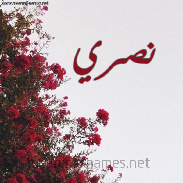 شكل 18 صوره الورد الأحمر للإسم بخط رقعة صورة اسم نصري NSRI