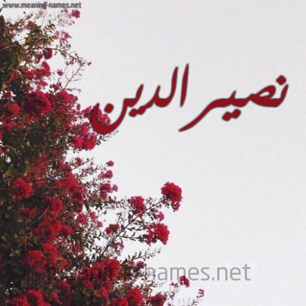 شكل 18 صوره الورد الأحمر للإسم بخط رقعة صورة اسم نصيرالدين Nsyraldyn