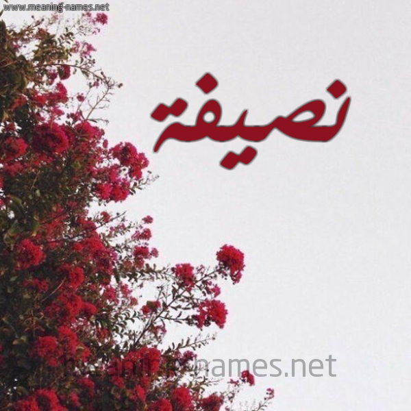 شكل 18 صوره الورد الأحمر للإسم بخط رقعة صورة اسم نصيفة NSIFH