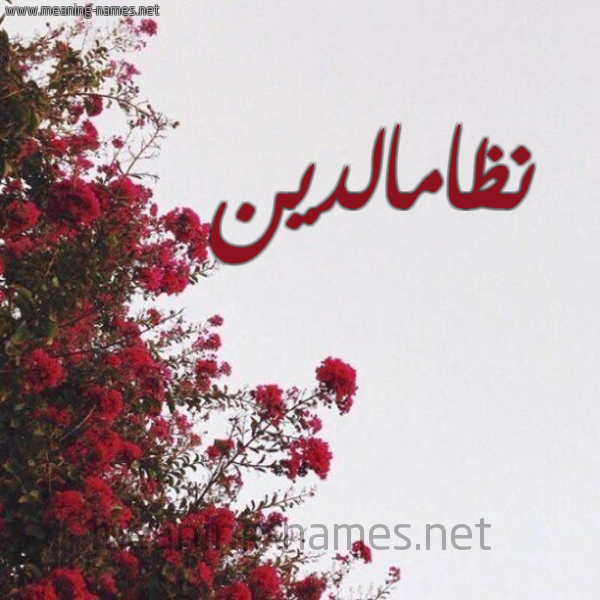 شكل 18 صوره الورد الأحمر للإسم بخط رقعة صورة اسم نظامالدين Nzamaldyn