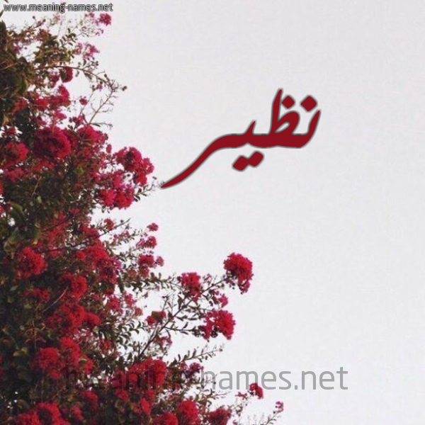 شكل 18 صوره الورد الأحمر للإسم بخط رقعة صورة اسم نظير NZIR