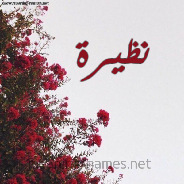 شكل 18 صوره الورد الأحمر للإسم بخط رقعة صورة اسم نظيرة Nzira