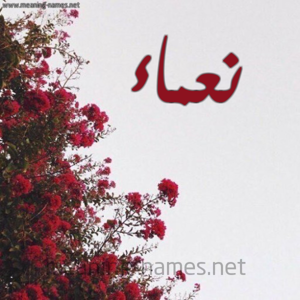شكل 18 صوره الورد الأحمر للإسم بخط رقعة صورة اسم نعماء No3ma2